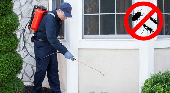 Anamur Tahtakurusu İlaçlama böcek ilaçlama ve haşere kontrolü — ilaclama-tr.com